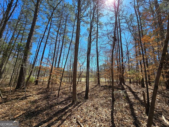 0 River Shoals Court, Covington, GA 30016