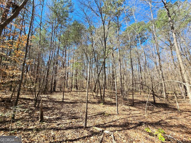 0 River Shoals Court, Covington, GA 30016