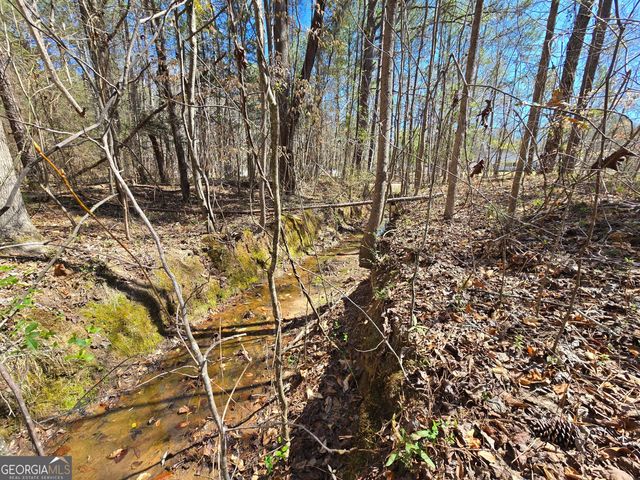 0 River Shoals Court, Covington, GA 30016