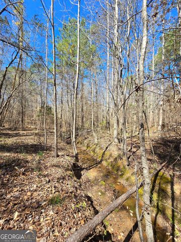 0 River Shoals Court, Covington, GA 30016
