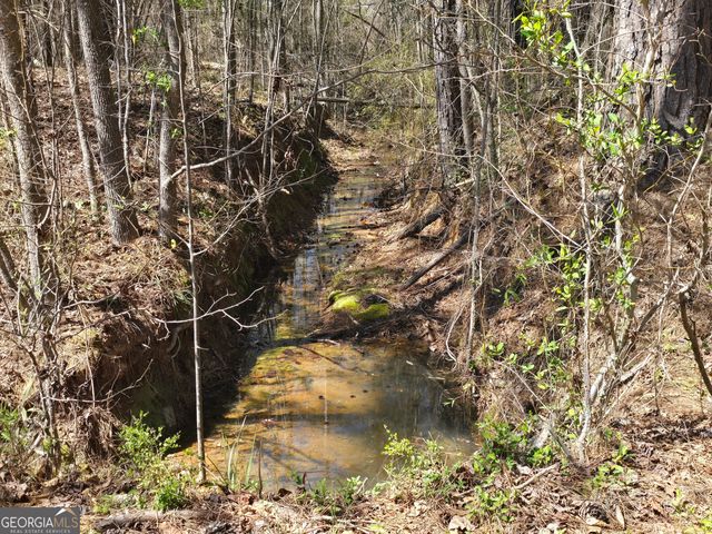 0 River Shoals Court, Covington, GA 30016