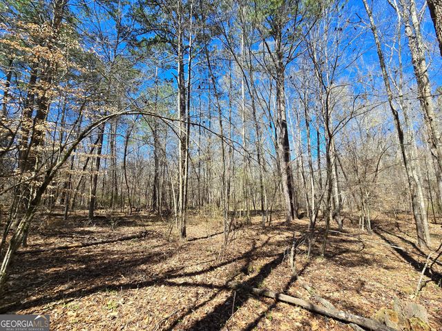 0 River Shoals Court, Covington, GA 30016