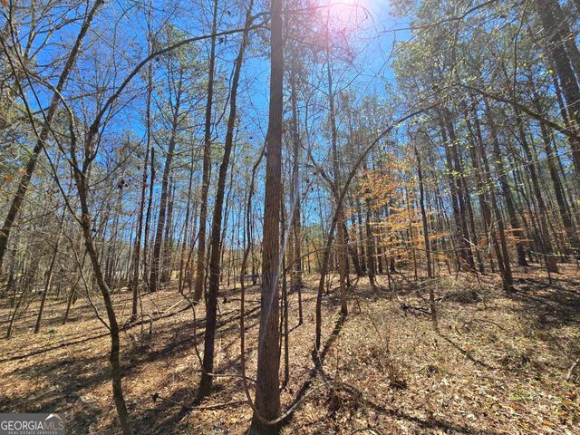 0 River Shoals Court, Covington, GA 30016