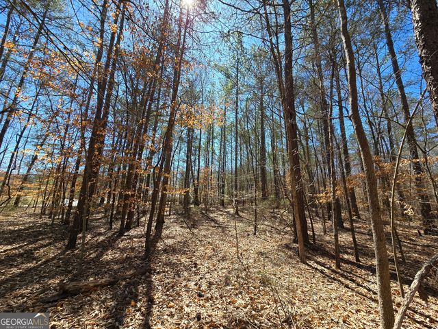 0 River Shoals Court, Covington, GA 30016