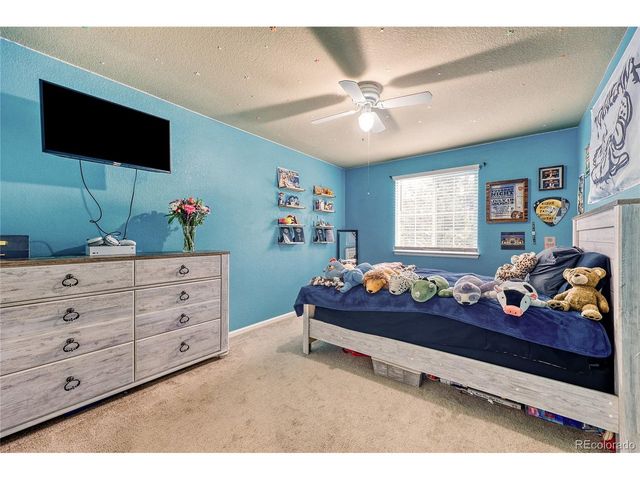 4535 Addenbrooke Loop, Castle Rock, CO 80109