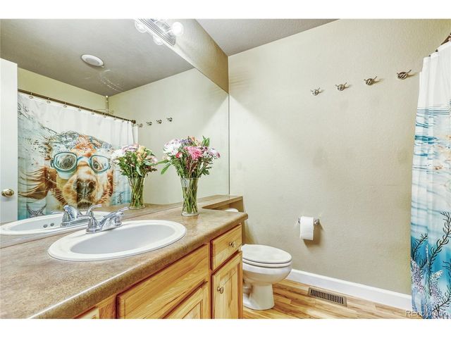 4535 Addenbrooke Loop, Castle Rock, CO 80109