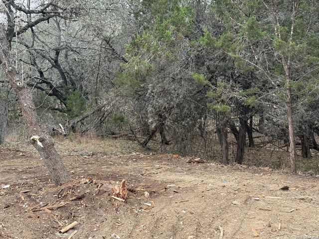 1456 Songbird, Canyon Lake, TX 78133