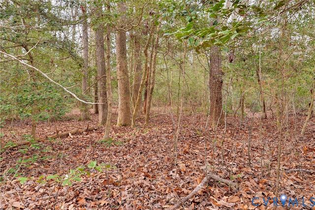 Lot B Lonesome Pine Trl, Lancaster, VA 22503