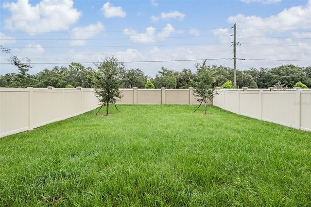 10112 BRANCHING SHIP TRACE, Wesley Chapel, FL 33545