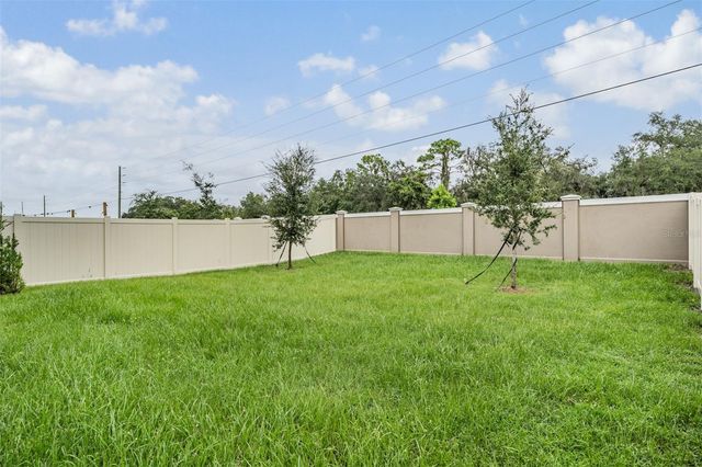 10112 BRANCHING SHIP TRACE, Wesley Chapel, FL 33545
