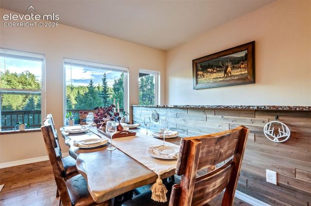 119 Remwood Circle, Divide, CO 80814