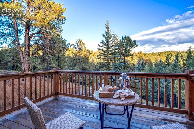 119 Remwood Circle, Divide, CO 80814