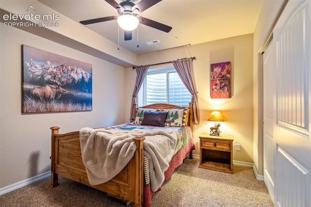 119 Remwood Circle, Divide, CO 80814