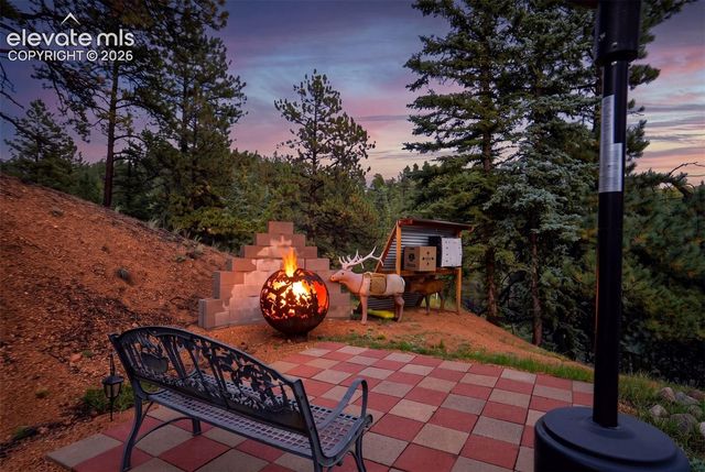 119 Remwood Circle, Divide, CO 80814