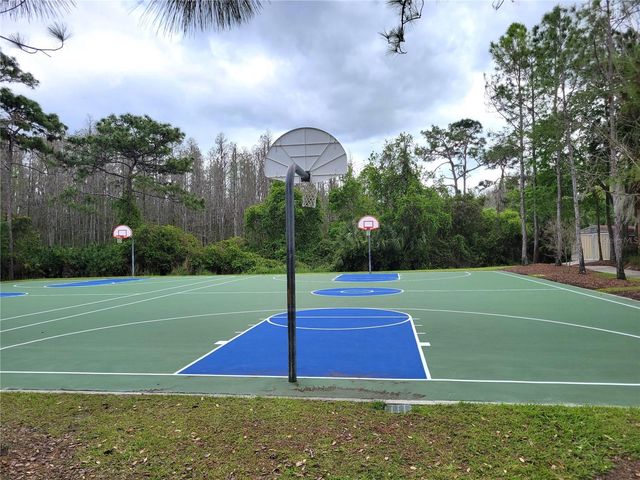 31404 PHILMAR LANE, Wesley Chapel, FL 33543