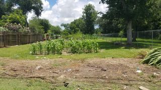 0 S N Martin Luther King, Hitchcock, TX 77563