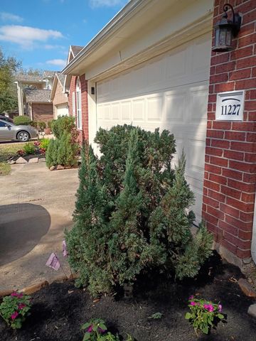 11227 Agave Ridge Lane, Houston, TX 77089