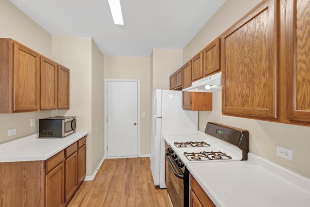 573 Telluride Drive, Gilberts, IL 60136