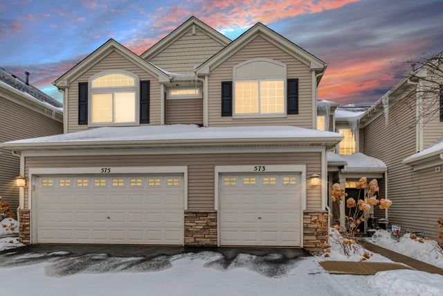 573 Telluride Drive, Gilberts, IL 60136