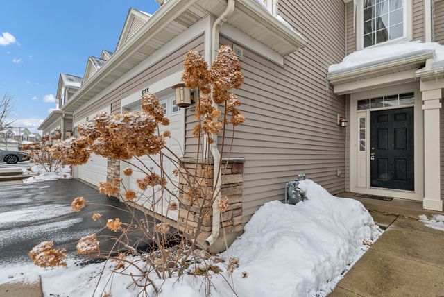 573 Telluride Drive, Gilberts, IL 60136