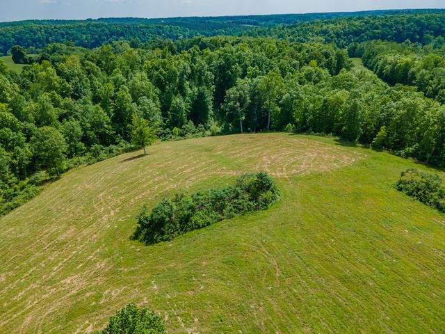 14035 Campbellsville Rd, Lynnville, TN 38472