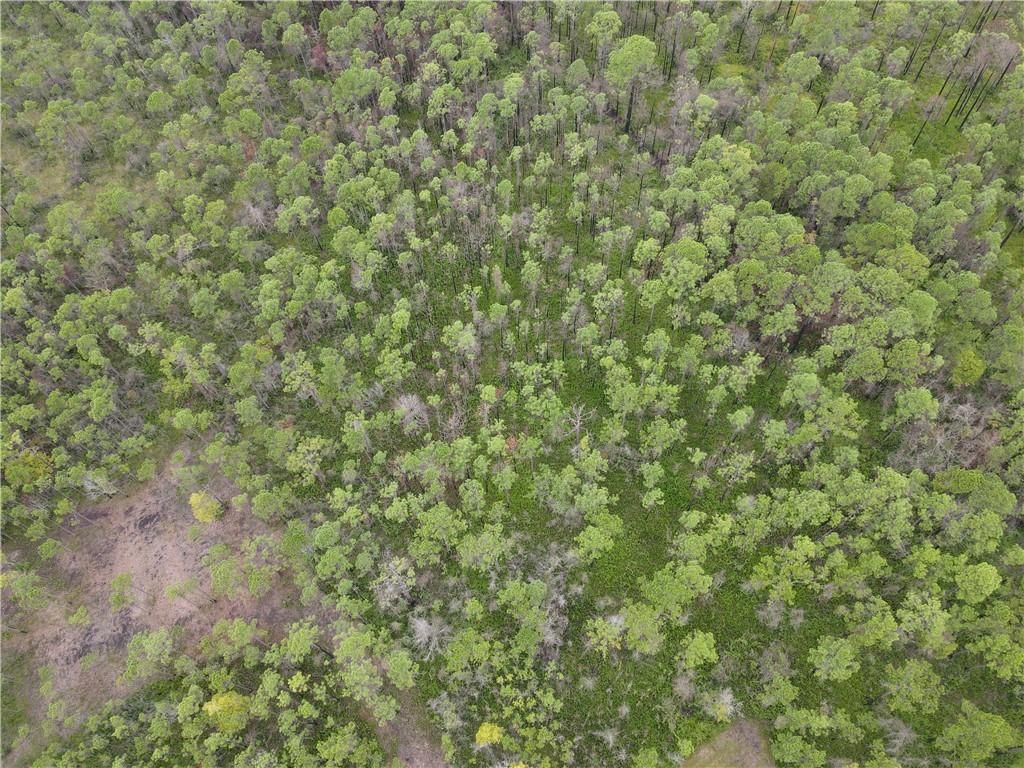 0 Dauphin Island Parkway, Coden, AL 36523 — photo 5