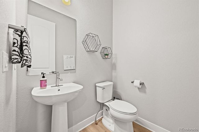 3293 Offbeaten Place, Castle Rock, CO 80108