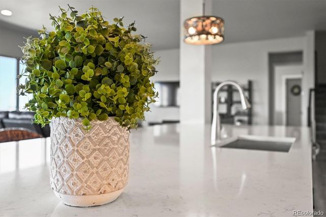 3293 Offbeaten Place, Castle Rock, CO 80108