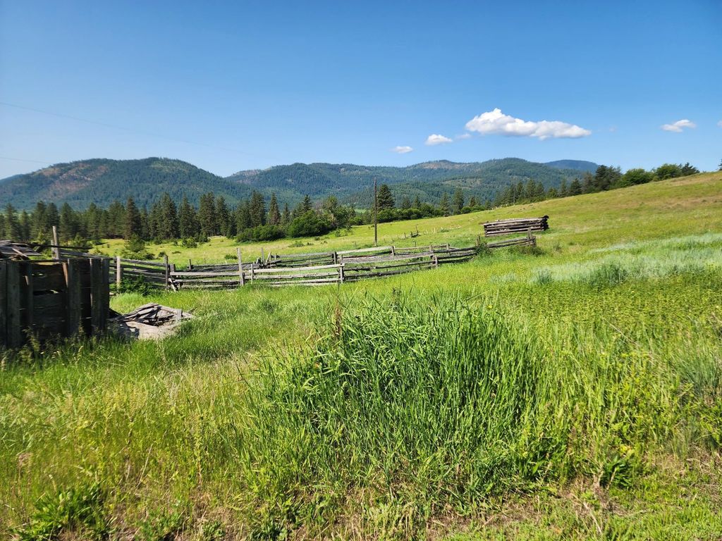 xxx Hall Creek Rd, Inchelium, WA 99138 photo 3