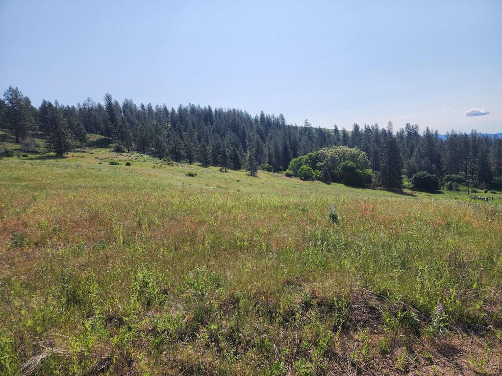 xxx Hall Creek Rd, Inchelium, WA 99138 photo 4