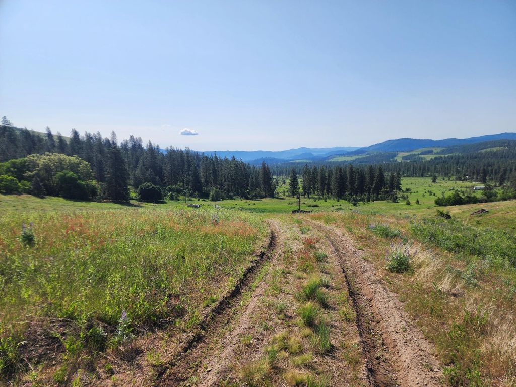 xxx Hall Creek Rd, Inchelium, WA 99138 photo 5