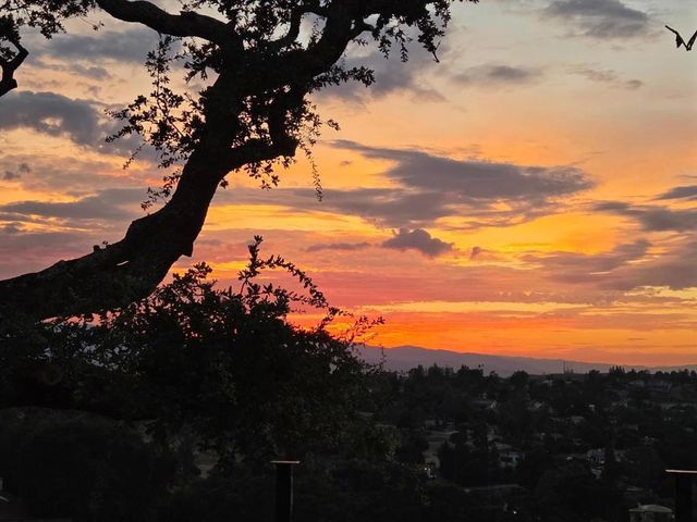 15860 Jackson Oaks Drive, Morgan Hill, CA 95037