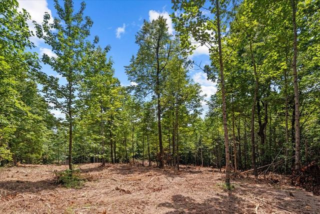 0 Upper Creek Rd, Vanleer, TN 37181