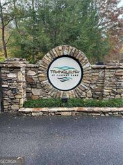 0 Doll Mountain Road LOT 98, Ellijay, GA 30540