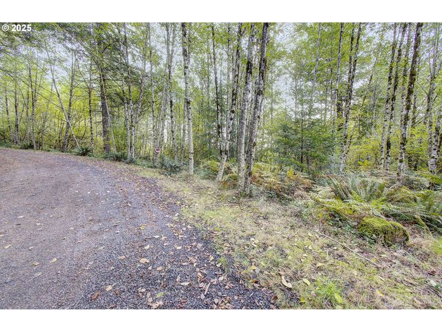 251 MYSTERY Dr, Amboy, WA 98601