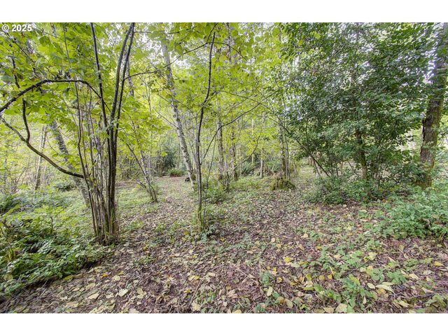 251 MYSTERY Dr, Amboy, WA 98601