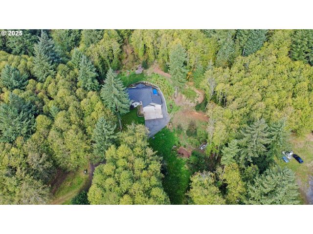 251 MYSTERY Dr, Amboy, WA 98601
