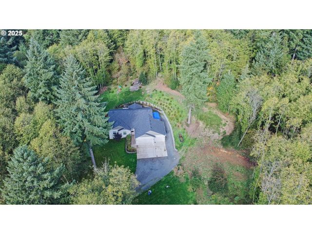 251 MYSTERY Dr, Amboy, WA 98601