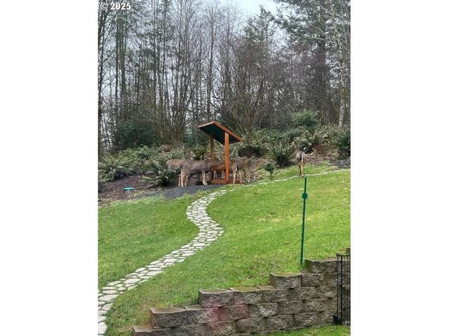 251 MYSTERY Dr, Amboy, WA 98601