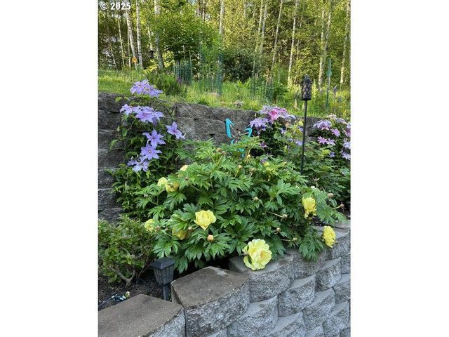 251 MYSTERY Dr, Amboy, WA 98601