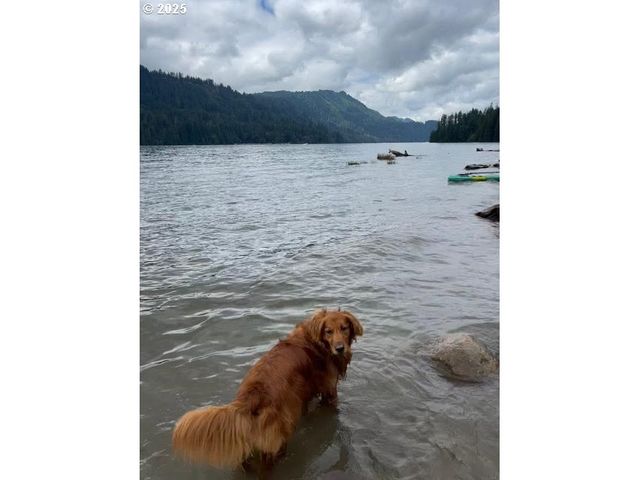 251 MYSTERY Dr, Amboy, WA 98601