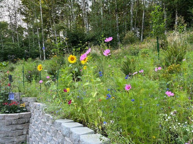 251 MYSTERY Dr, Amboy, WA 98601