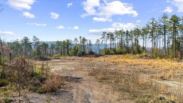 Stinking Creek Rd, Pioneer, TN 37847