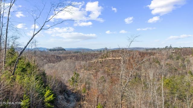 Stinking Creek Rd, Pioneer, TN 37847