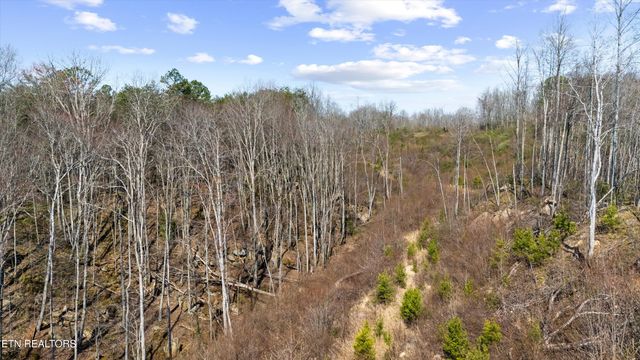 Stinking Creek Rd, Pioneer, TN 37847