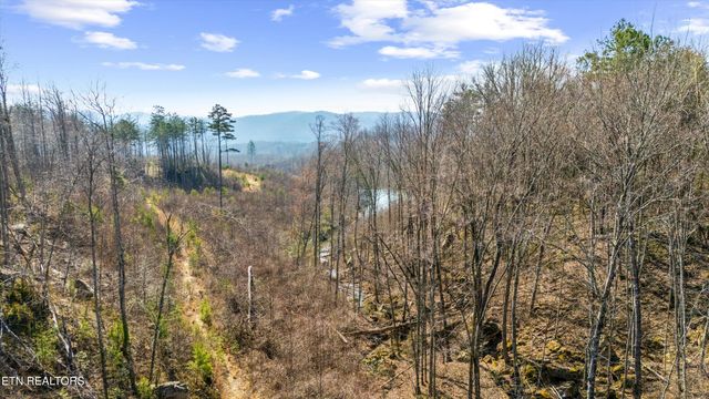 Stinking Creek Rd, Pioneer, TN 37847