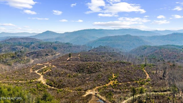 Stinking Creek Rd, Pioneer, TN 37847