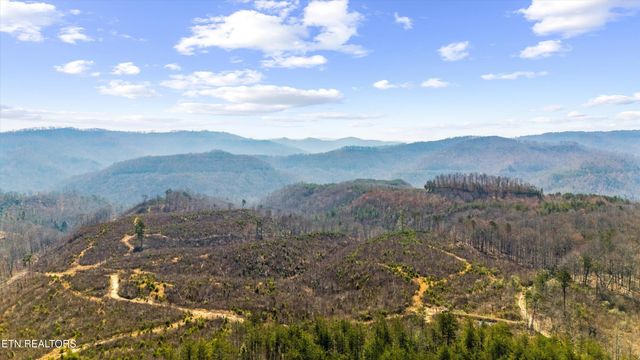 Stinking Creek Rd, Pioneer, TN 37847