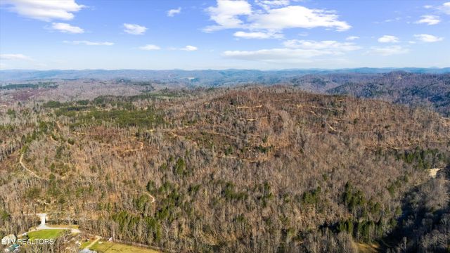 Stinking Creek Rd, Pioneer, TN 37847