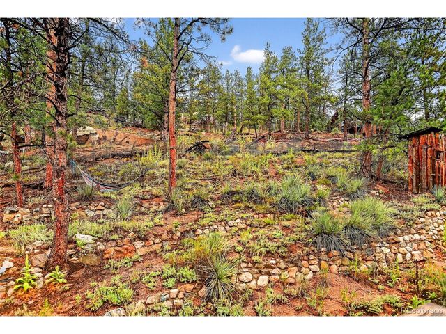 27403 Schuyler Gulch Rd, Pine, CO 80470